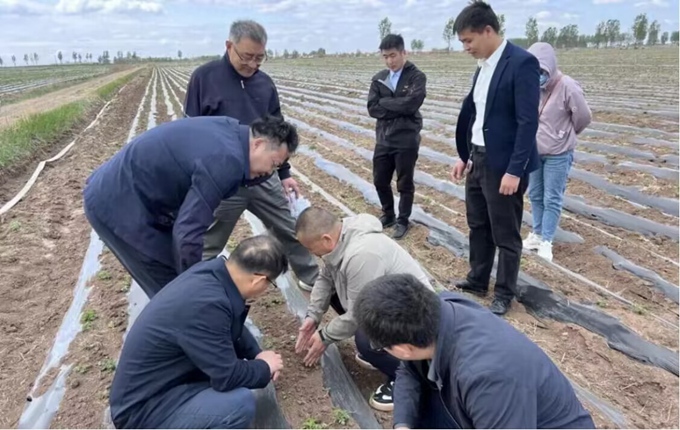 尊龙药业丹参品种上榜“优质药材‘三无一全’基地品种”